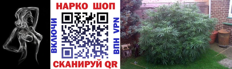 Где купить Сызрань Марихуана  Alpha PVP  Кетамин  ГАШ  Меф  COCAIN 