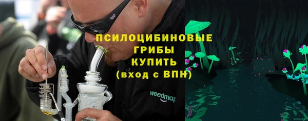 соль ск Абаза