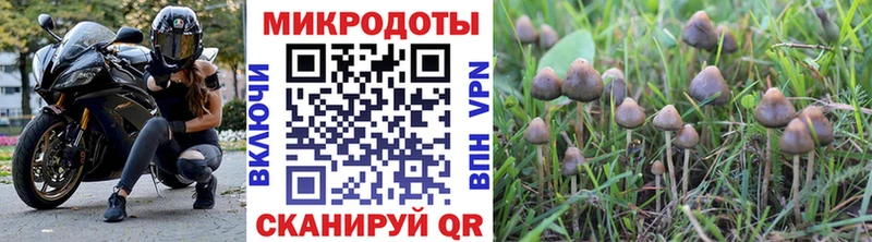 Псилоцибиновые грибы Psilocybe  закладки  darknet наркотические препараты  Сызрань 